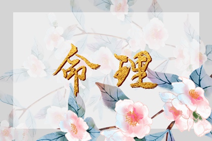 今日日历表_万年历日历查询黄道吉日_日历2026日历表